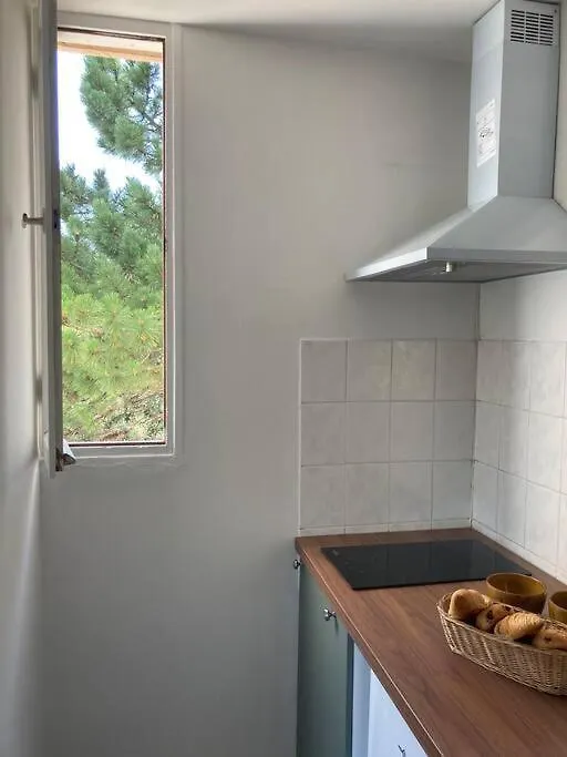 Cozy Studio With Balcony And Free Parking Aix-en-Provence Apartment
